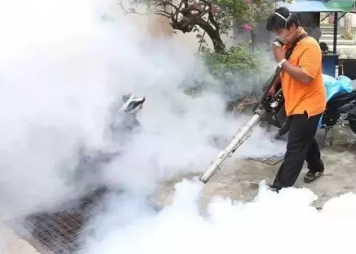 哪些地方又爆发疫情了（哪里又爆发了疫情）