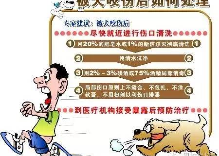 三亚当下有登革热疫情吗（三亚登岛是啥意思）