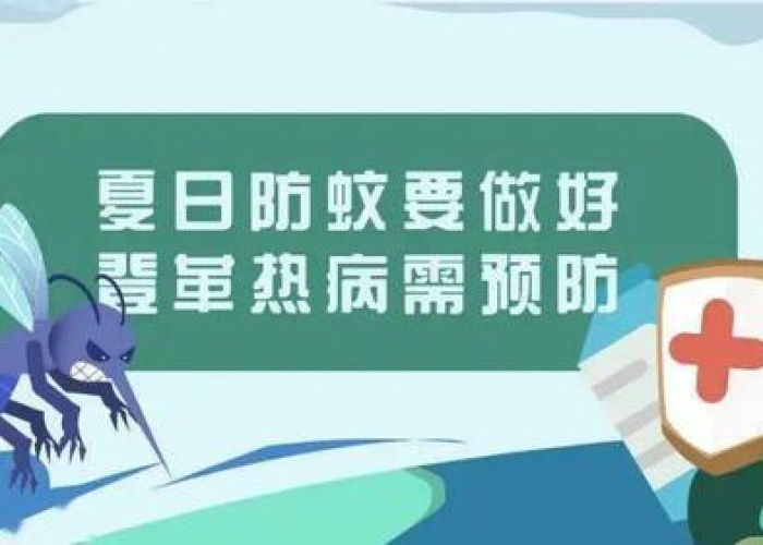 三亚当下有登革热疫情吗（三亚登岛是啥意思）