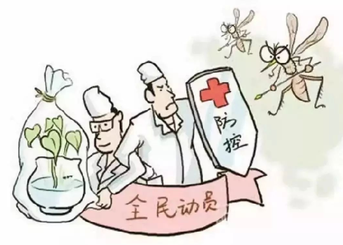 三亚当下有登革热疫情吗（三亚登岛是啥意思）