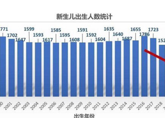 疫情期间出生人口（疫情导致出生率上升）