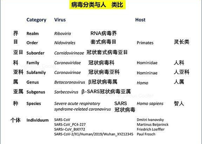 疫情病毒名称（最新疫情病毒的名字）