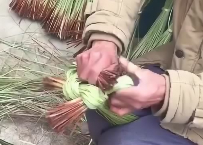 疫情挣不到钱吗（疫情钱不好挣）