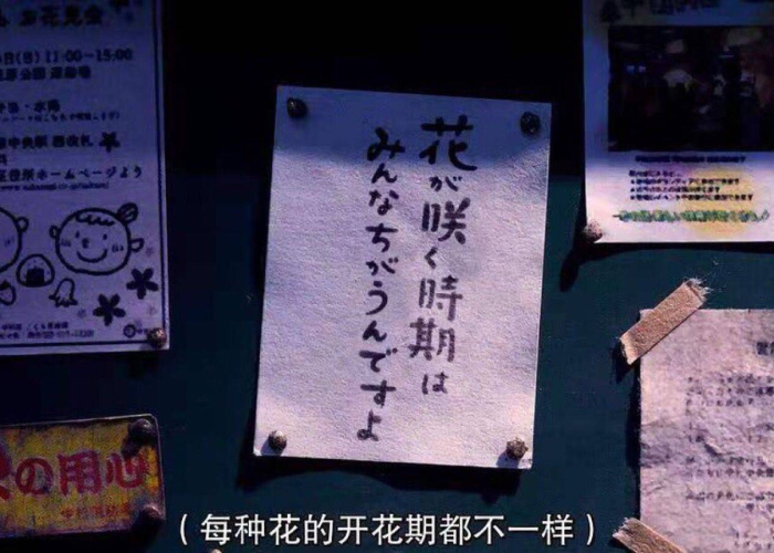 疫情文案高级有深度四字（疫情温柔文案）