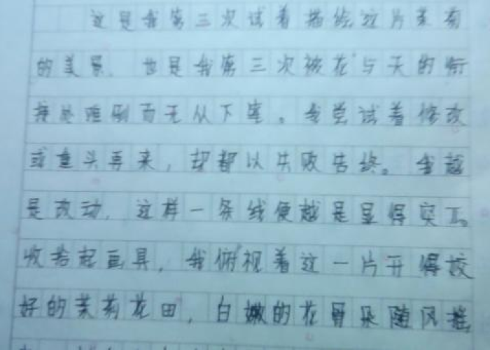 我和疫情作文（以我与疫情为话题写一篇作文600作文）