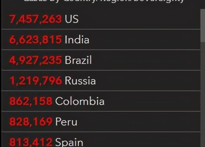 美国疫情三年死亡人数（美国疫情三年死亡人数百分比）