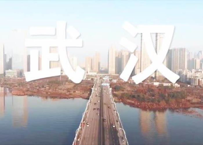 疫情爆发什么时候封城的（疫情什么时候封闭的）