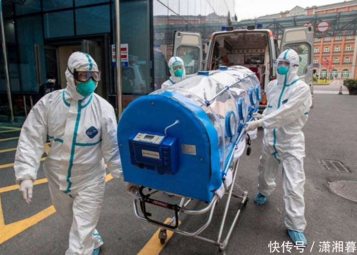疫情期间怪异事情（疫情期间的丑事）