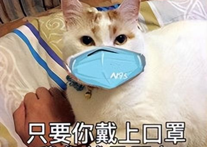 疫情表情包（疫情 表情包）