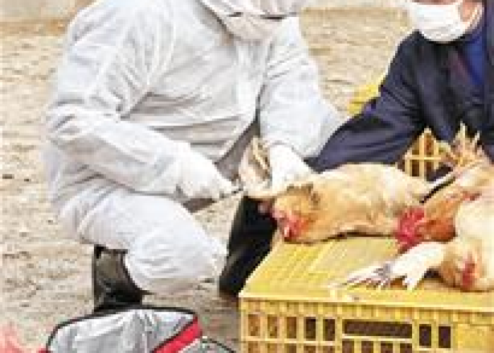 中国现在的疫情一共死了多少人（中国现在的疫情一共死了多少人口）