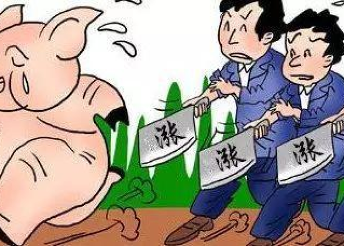 疫情开始时间是哪年（疫情开始时间是哪天）