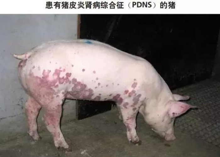新疫情最新消息实时发布（新疫情最新症状）