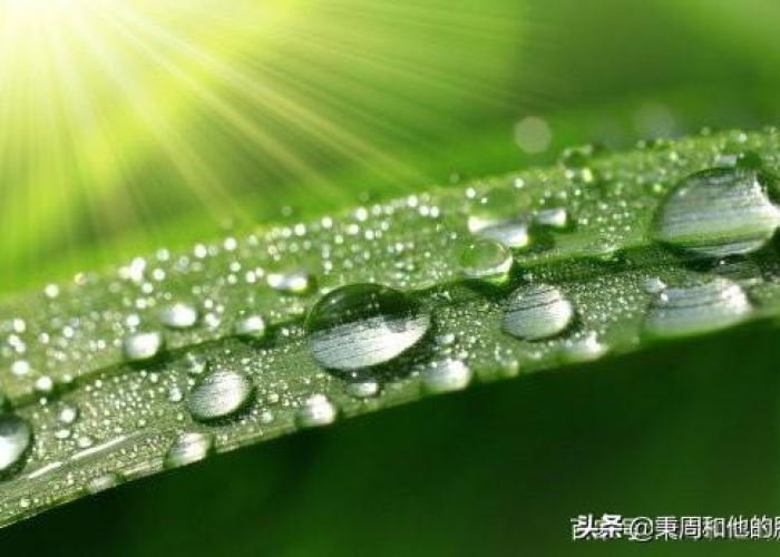 疫情解封感言简短（疫情解封短句）