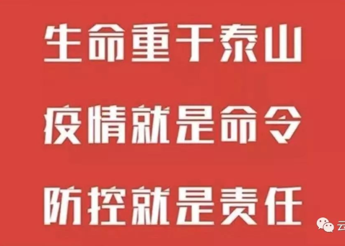 疫情期间坚持工作（疫情期间坚持工作的文章）