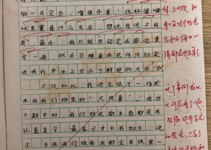 对疫情的看法小学生作文（对疫情的看法小学生作文300字）