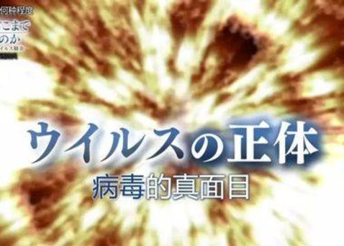 国外新冠疫情纪录片（国外新冠肺炎纪录片）