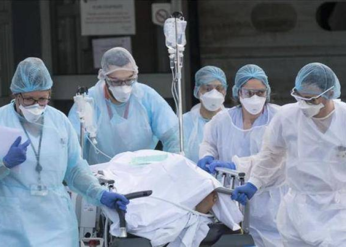 新冠疫情死了多少人?（武汉市新冠疫情死了多少人）