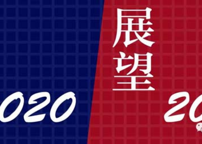 回顾2020疫情（回顾2020疫情展望2021作文）