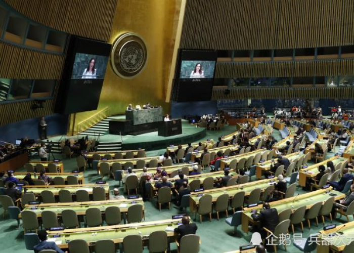 联合国宣布疫情结束开会日程（联合国涉新冠肺炎疫情决议）