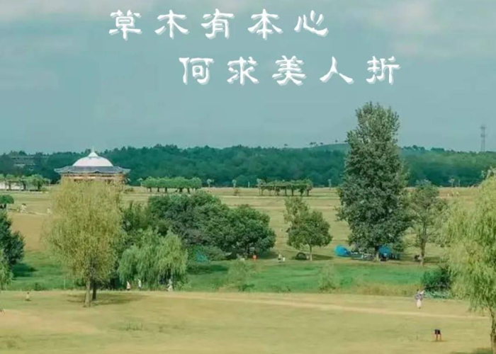 预测疫情结束时间算命（测卦疫情何时结束）