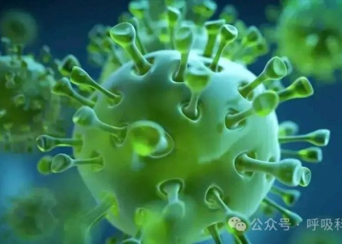 新冠疫情的源头到底出自哪里呢（新冠疫情的源头到底出自哪里呢图片）
