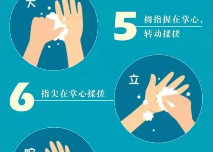 新型冠状疫情的起因百度百科（新冠肺炎疫情的起因及过程）