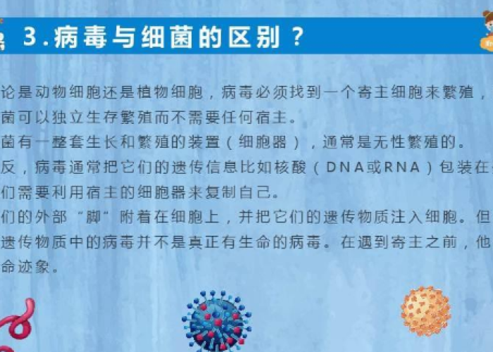 新冠疫情知识汇总（新冠病毒疫情知识宣传）