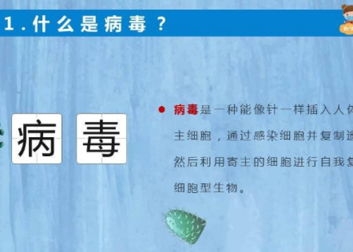 新冠疫情知识汇总（新冠病毒疫情知识宣传）