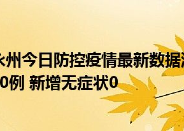 湖南永州东安新冠疫情最新消息（湖南永州东安新冠疫情最新消息通知）
