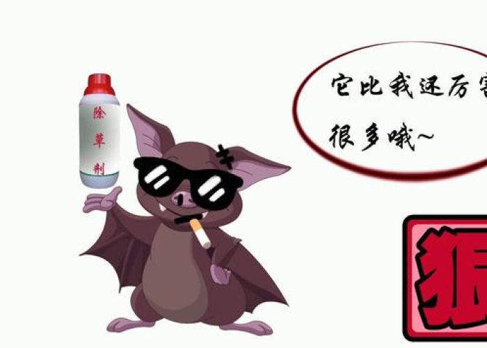 疫情的源头是蝙蝠吗（这次疫情来源于蝙蝠吗）
