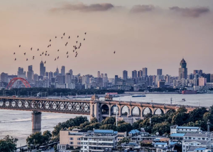 疫情封城了几个城市（疫情封了几座城市）