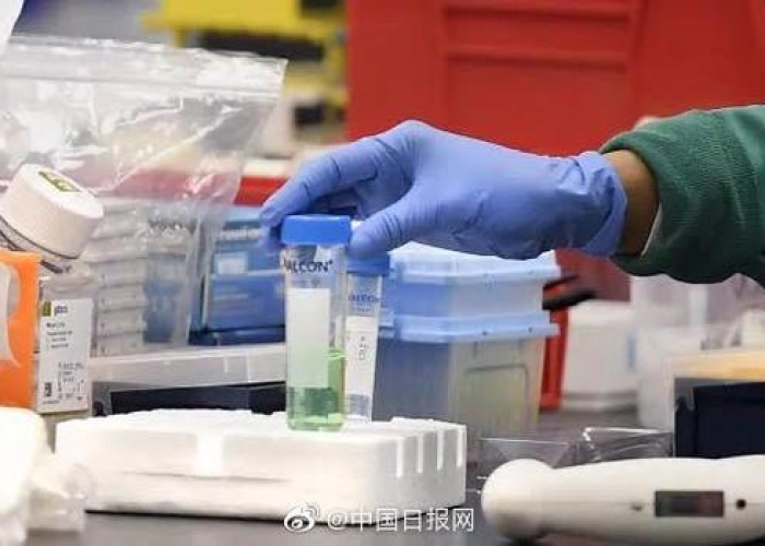 中国这次新冠疫情的源头（中国疫情的源头到底是什么）