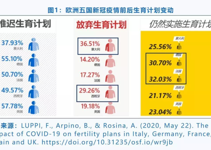 新冠疫情期间生育率下降（新冠疫情期间生育率下降的原因）