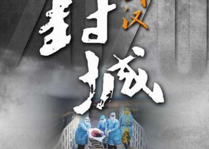 武汉疫情那一年开始的（武汉疫情那一年开始的封城）