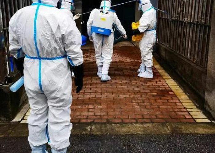 疫情最新消息疫情报告（疫情最新消息记录）