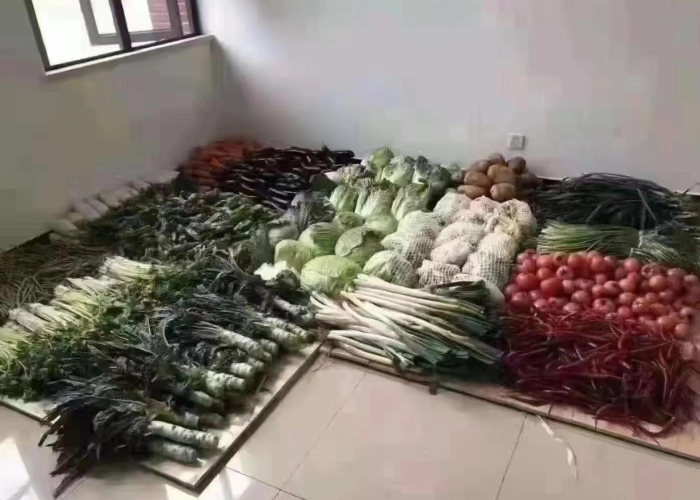 疫情封城最久的是哪个地方（疫情封城最早时间）