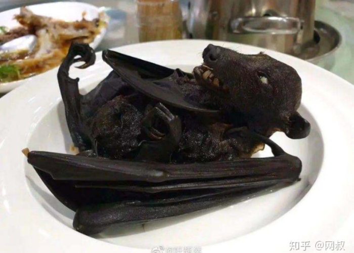 蝙蝠疫情的源头（蝙蝠是疫情的罪魁祸首吗）