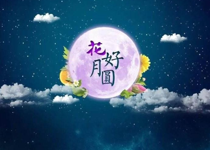 去年疫情歌曲（2020年疫情歌曲）