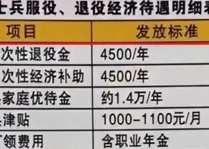 2020疫情退伍兵补贴（2020疫情退伍兵补贴怎么申请）