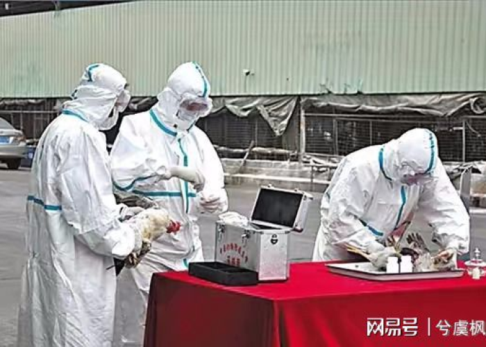 疫情是多久到多久（疫情是多久结束的）