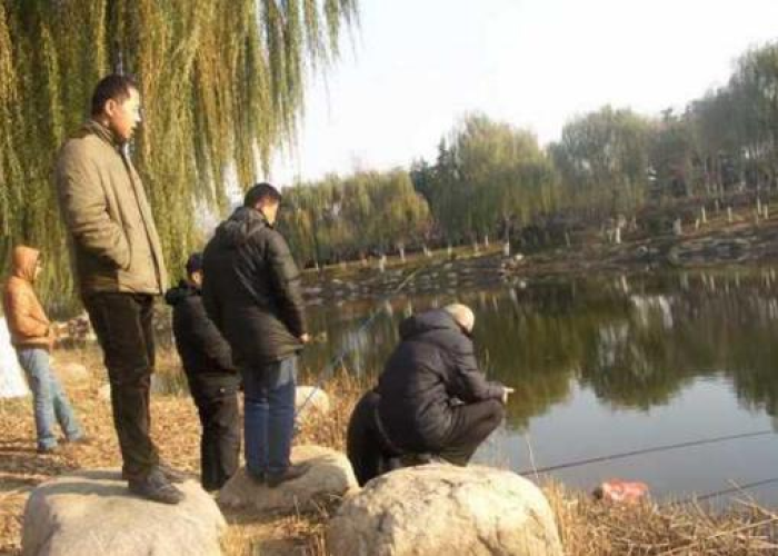疫情解封时的心情（疫情解封时的心情说说）