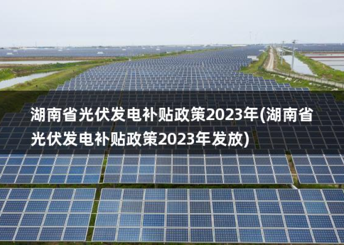 湖南疫情补贴政策2023标准（湖南疫情补贴政策2023标准是什么）