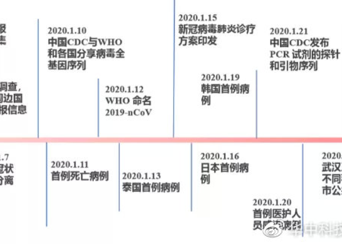 新冠疫情全过程梳理（新冠疫情全过程梳理图）