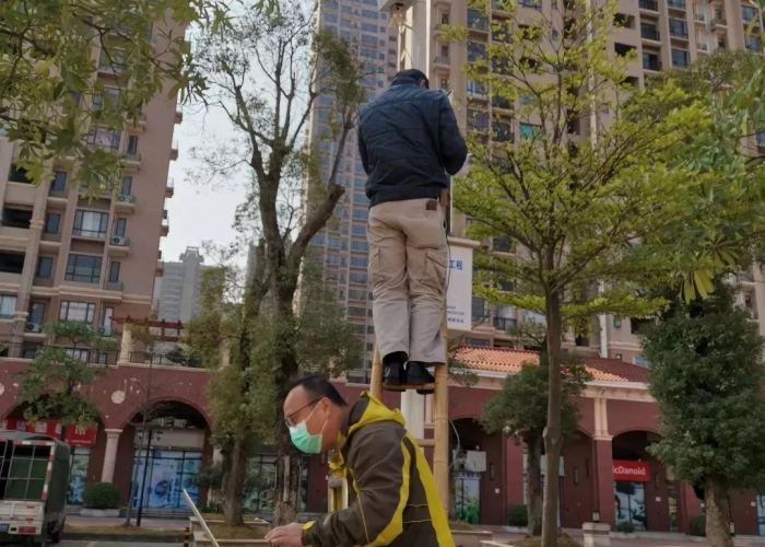 官宣疫情结束时间（官方疫情结束时间）