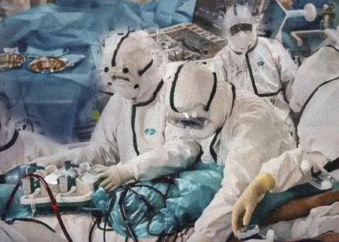 武汉疫情辽宁驰援感动视频（武汉疫情辽宁驰援感动视频播放）