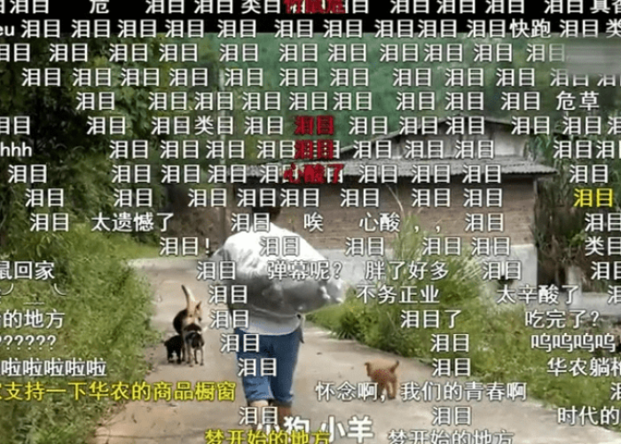 疫情回忆录视频大全高清（2020疫情回忆录）
