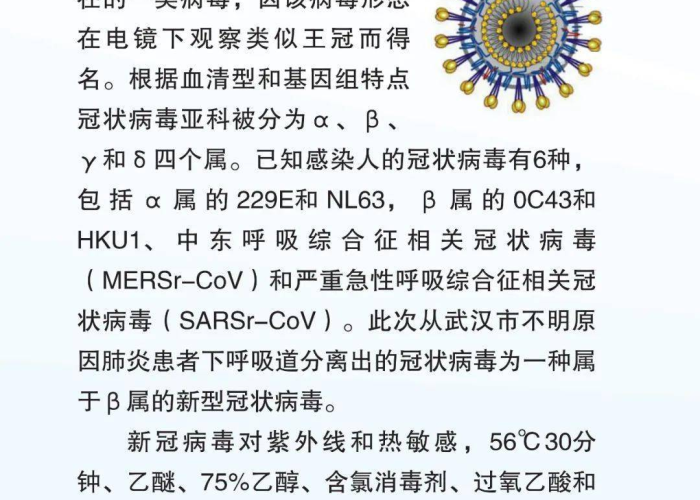 新型冠状病毒疫情知识（新型冠壮病毒知识）