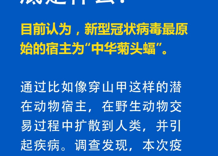 新型冠状病毒疫情知识（新型冠壮病毒知识）