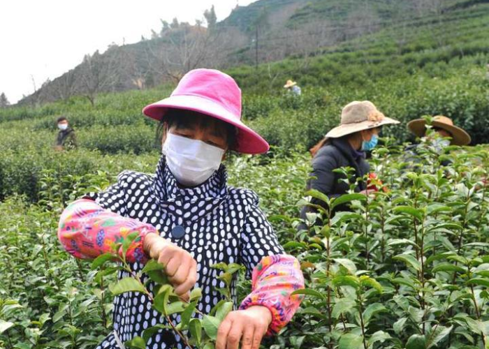 疫情期间要做好哪些准备工作（疫情期间要做哪几点）