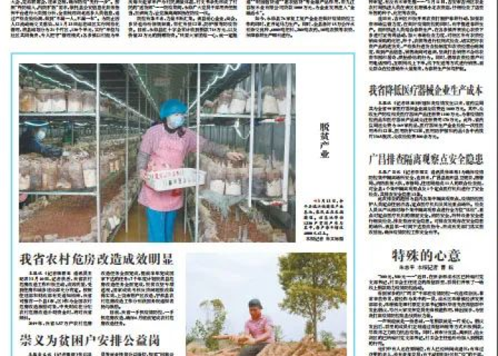疫情结束播报央视新闻（疫情期间央视新闻报道）